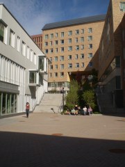 OLYMPUS DIGITAL CAMERA