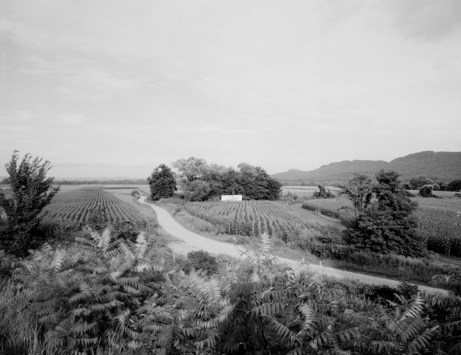 Photo by Stephen Petegorsky